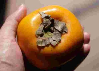 Розчаровуватися зарано: що робити, якщо ви купили терпку хурму