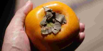 Розчаровуватися зарано: що робити, якщо ви купили терпку хурму
