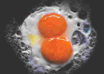 Така ідеальна яєчня у вас ніколи не виходила: варто тільки додати трохи води