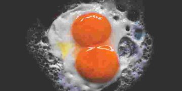 Така ідеальна яєчня у вас ніколи не виходила: варто тільки додати трохи води