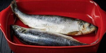 Белые “черви”, которые часто встречаются в сельди и скумбрии: что это и каков риск заражения?