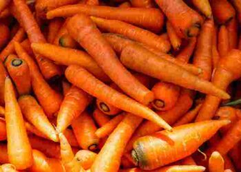 Позбудетеся усього бруду та мікробів: найефективніший спосіб помити моркву