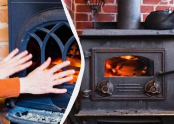 Чим найвигідніше опалювати піч, крім дров: експерт назвав несподіваний вид палива