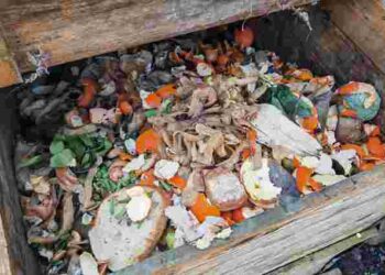 Його ще можна оживити: що робити, коли компост пересох і не розкладається