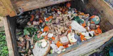 Його ще можна оживити: що робити, коли компост пересох і не розкладається