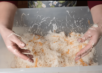 Как посчитать соль для квашения по весу капусты: показали универсальный способ (ВИДЕО)