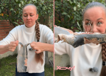 Как разделать селдь на филе без мороки: два движения – и косточки вылезут сами (ВИДЕО)