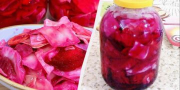 Капуста Пелюстка смачніша за звичайну в 10 разів: закриваю відразу потрійну порцію