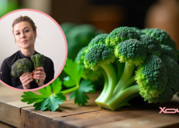 “Младший брат” брокколи: что такое брокколини и в чем его особенности (ВИДЕО)
