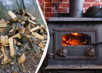 Можна топити піч сирими дровами, щоб вони горіли і не диміли: ось що потрібно зробити
