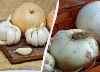 Не в холодильнику: де зберігати цибулю і часник місяцями, щоб не гнили і не проростали