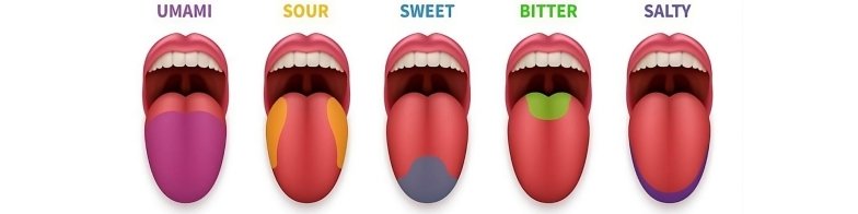 Неожиданный ингредиент сделает ваши блюда более вкусными: он уже есть на вашей кухне