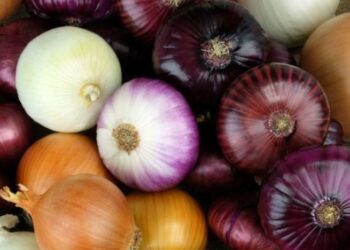 Никогда не кладите туда лук: он превратится в месиво