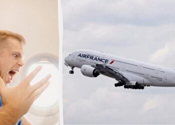 У Франції буйні пасажири літаків ризикують отримати штраф до 20 тисяч євро