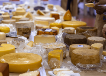 В Швейцарии 5 украинских сыров наградили “сырным Оскаром”: какие продукты отметили