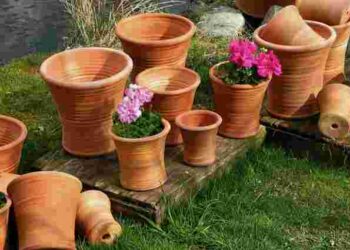 Рятуємо вазони від гниття: як зробити дренажний отвір у керамічному горщику