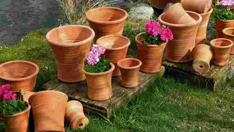 Рятуємо вазони від гниття: як зробити дренажний отвір у керамічному горщику