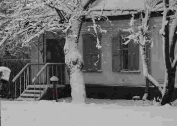 Чому не варто посипати сіллю чи піском доріжки: безпечний спосіб боротьби з льодом