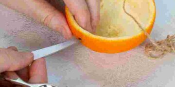 Повісьте апельсинові шкірки на деревах у грудні: яка з цього користь саду і птахам