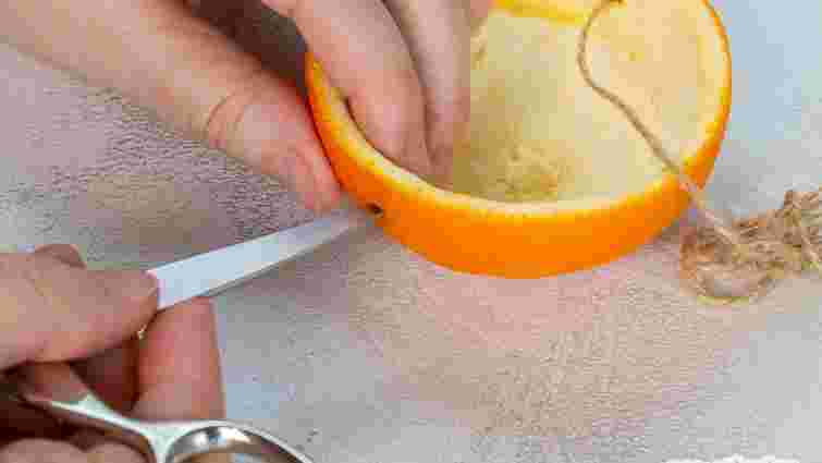 Повісьте апельсинові шкірки на деревах у грудні: яка з цього користь саду і птахам