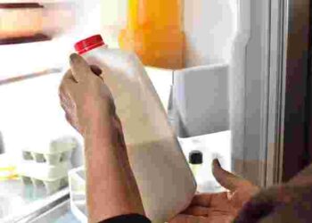 Де в холодильнику найкраще зберігати молоко, щоб воно довго не псувалося