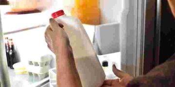 Де в холодильнику найкраще зберігати молоко, щоб воно довго не псувалося