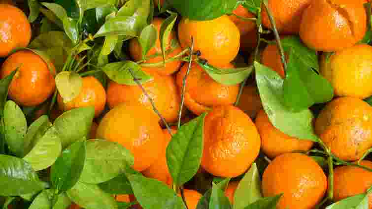 Смак вас не розчарує: як обрати ідеальні мандарини за запахом і формою