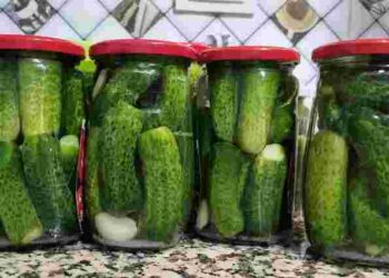 Як зробити розсіл у маринованих огірках прозорим: важливі секрети