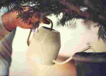 Ялинка не простоїть довго: три інгредієнти, які не можна додавати у воду