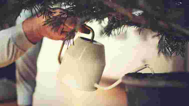 Ялинка не простоїть довго: три інгредієнти, які не можна додавати у воду