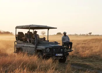 Ineos представив Grenadier Game Viewer — позашляховик у стилі сафарі з м’яким верхом