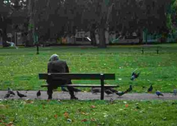 Ви їх повільно вбиваєте: чому не можна годувати пташок хлібом