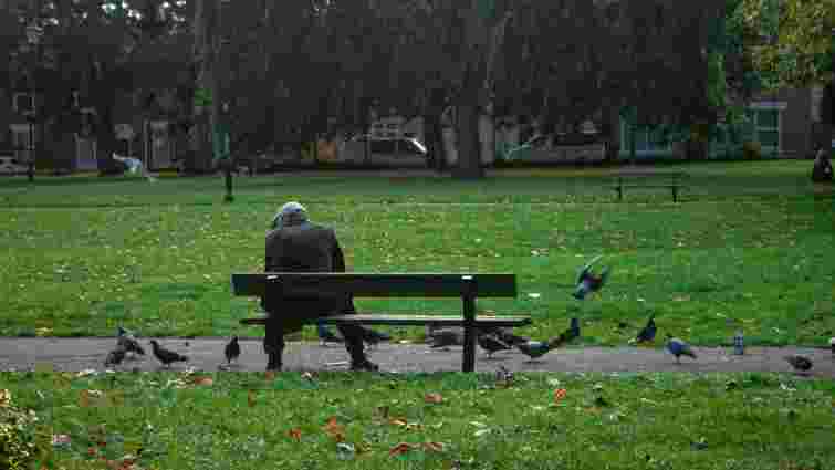 Ви їх повільно вбиваєте: чому не можна годувати пташок хлібом