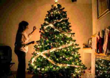 Жива чи штучна: яку ялинку обрати, щоб не зіпсувати собі свято