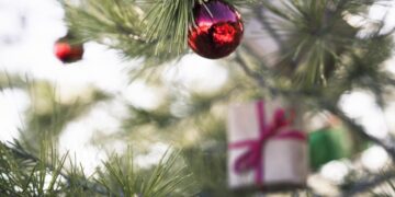 Чим полити живу ялинку, щоб вона довго стояла і пахла: що додати у воду