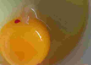 Безпечно їсти чи ні: чому на жовтку бувають червоні цятки