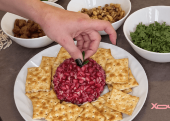 Этот “елочный шарик” станет украшением рождественского стола: как оригинально подать намазку (РЕЦЕПТ)