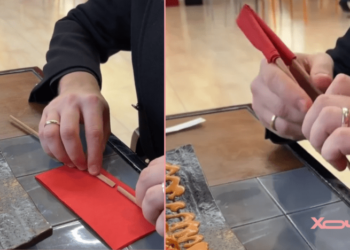 Понадобится только салфетка: как сделать учебные палочки для суши (ВИДЕО)