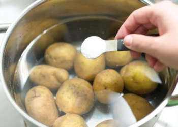 Секрет – в крышке: нужно ли накрывать картофель во время варки
