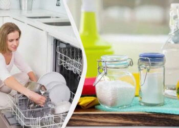 Що залити в посудомийку, щоб прочистити її від залишків їжі: 3 найкращі засоби