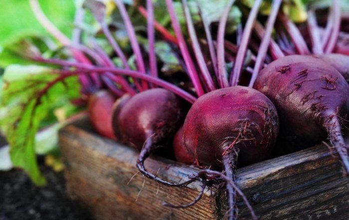 Сколько минут варить свеклу для ярко-рубинового цвета: 2 лучших способа