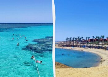 Від дайвінгу до усамітнення: названо найкращі пляжі Єгипту