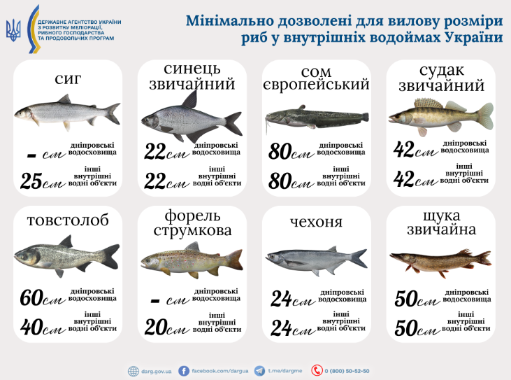 Зимова риболовля &mdash; без чого можна отримати штраф у 2026 році