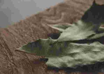 Ефект вражає: навіщо потрібно заморожувати лавровий лист