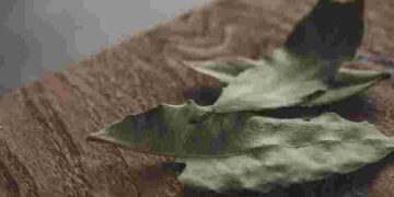Ефект вражає: навіщо потрібно заморожувати лавровий лист