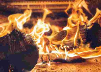 Тепла буде значно більше: що додати в піч, щоб дрова горіли краще