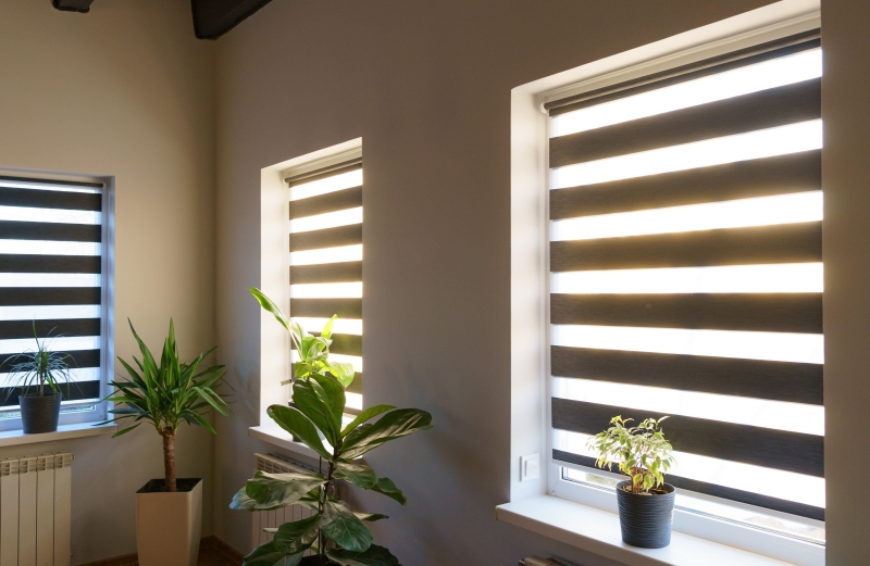 Функціональні і компактні: чим особливі ролети день &ndash; ніч та як їх підібрати правильно