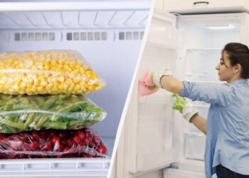 Названо список із 12 продуктів, які можна заморожувати: ви точно не знали цього