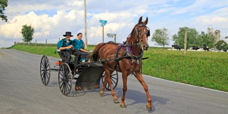 Прогрес достукався: аміші пересаджуються з коней на електробайки