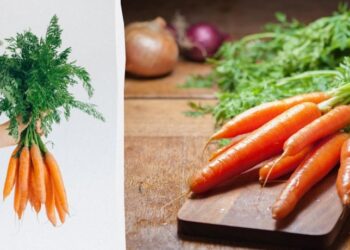 Тільки один спосіб допоможе зберегти моркву свіжою до 10 днів: у чому він полягає